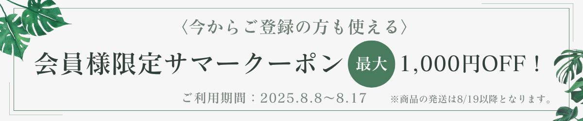 サマークーポン