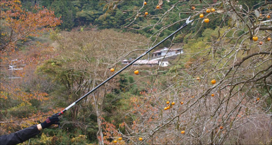 高枝切りばさみの選び方