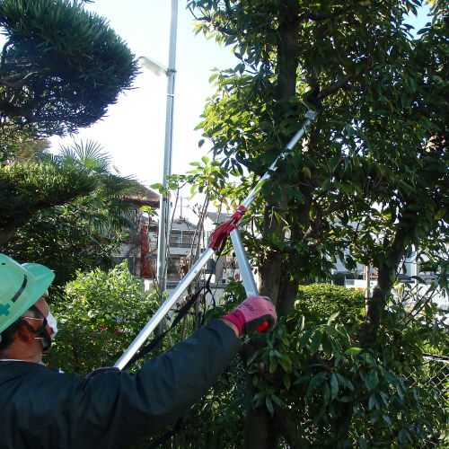 太枝切り鋏タフロッパー 1.5185-1.5D｜アルス《公式》園芸刃物