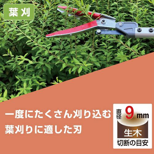 軽量伸縮式高枝鋏ズームチョキエコノ刈込タイプ190ZD-3.1-3D
