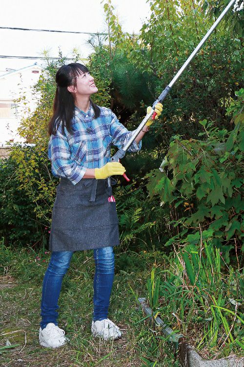 廃番】伸縮式高枝鋏ズームチョキ倍力 剪定タイプ 180WZ-2.9-5D