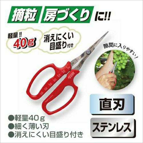 ぶどう摘粒鋏直刃_321DX-T-BP