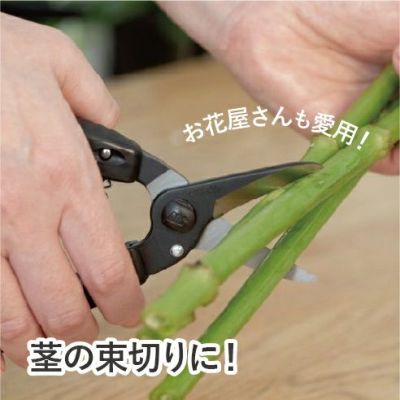 品番からさがす | アルス公式園芸刃物ショップ