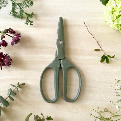 クラフトチョキ グリーンティー