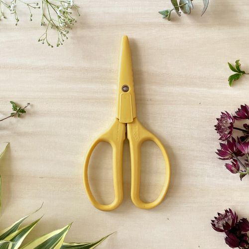 クラフトチョキ レモンクリーム