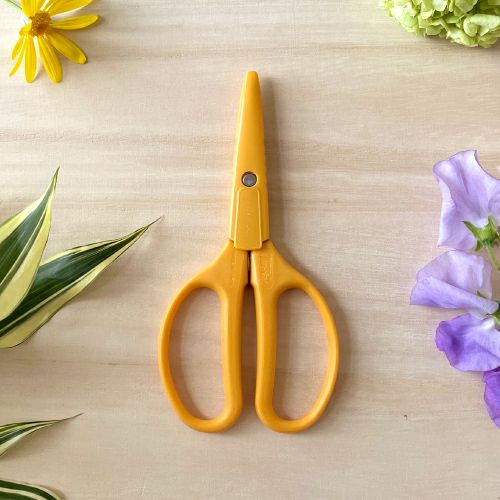 クラフトチョキ ヒマワリ