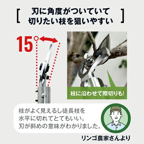 スゴタカ 刃に角度がついていて切りたい枝を狙いやすい