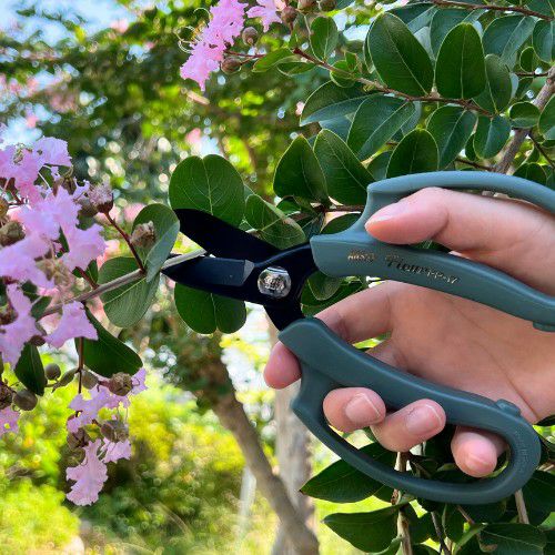 花ばさみフルール