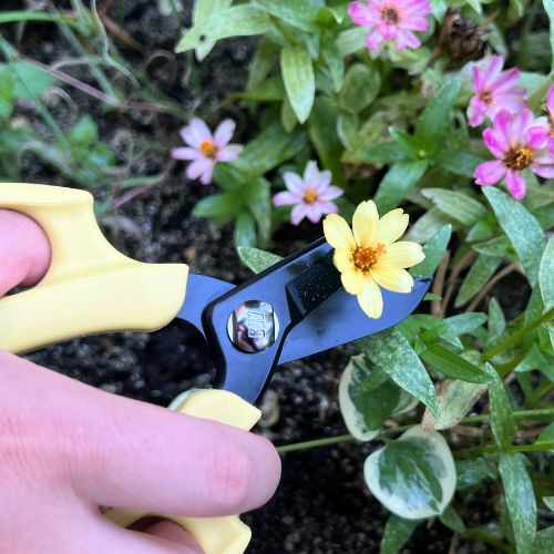 花ばさみフルール