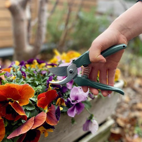 剪定鋏エフビーセブングリーン