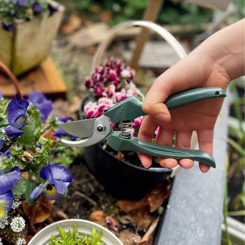 剪定鋏エフビーエイト グリーン